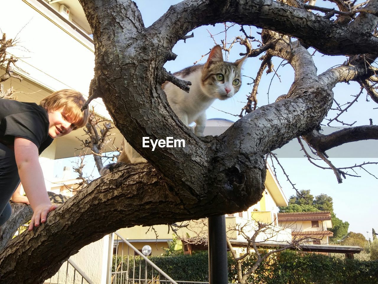 Low angle view of boy and cat on tree trunk against sky