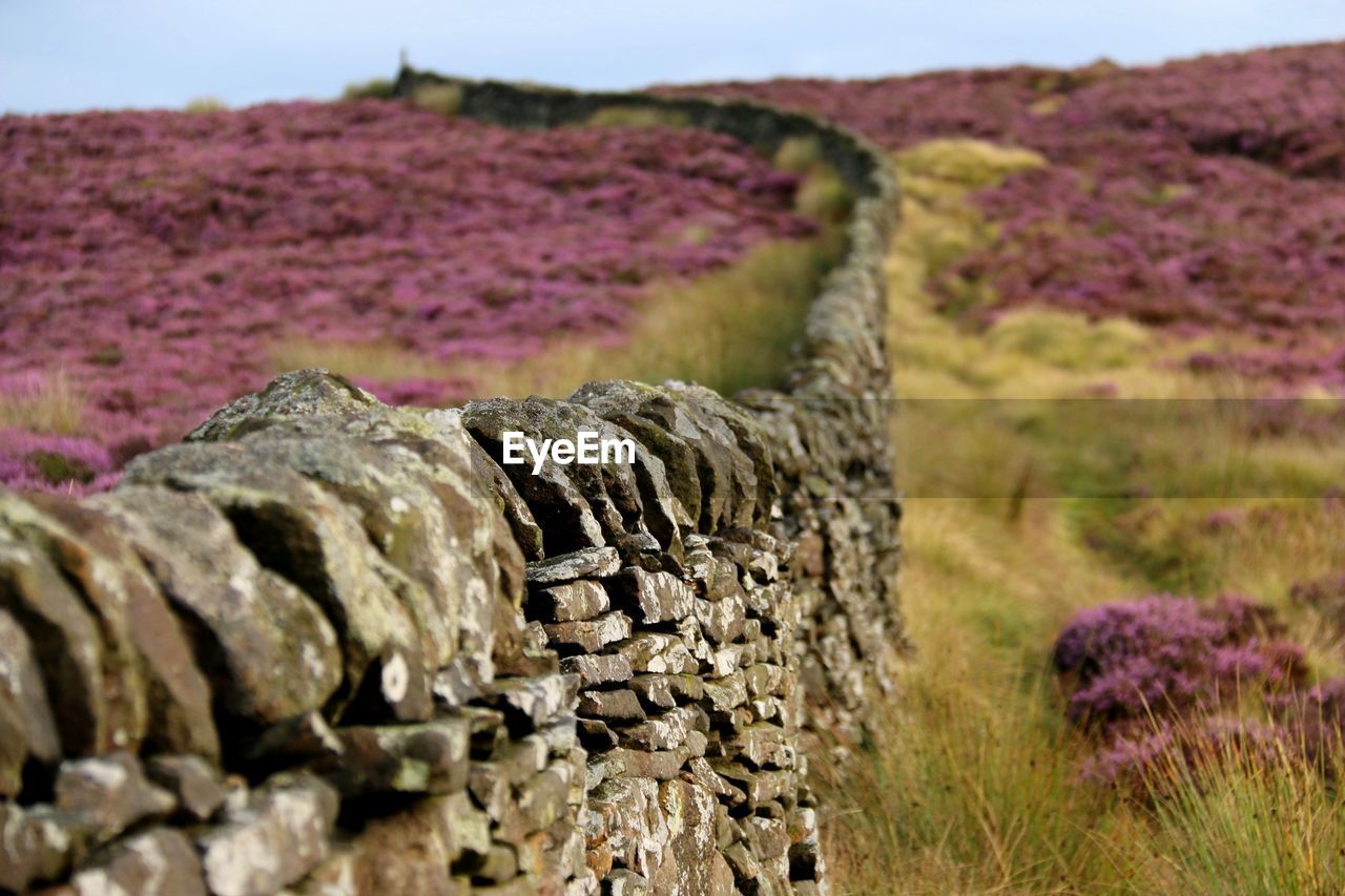 Scenic view of rocks on field against sky