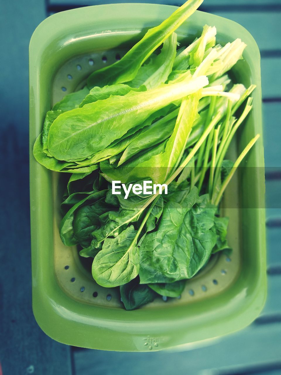 food and drink, food, healthy eating, vegetable, wellbeing, green, freshness, produce, indoors, no people, organic, container, raw food, close-up, leaf vegetable, still life, directly above, studio shot, high angle view