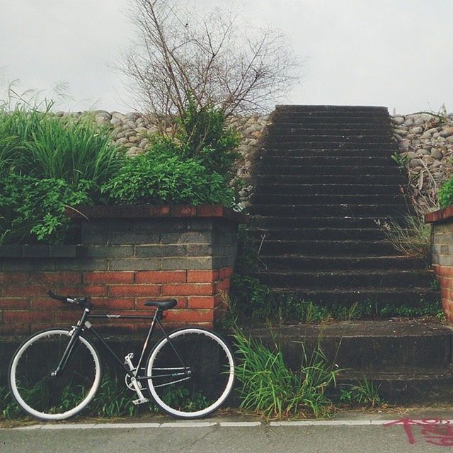 VIEW OF BRICK WALL