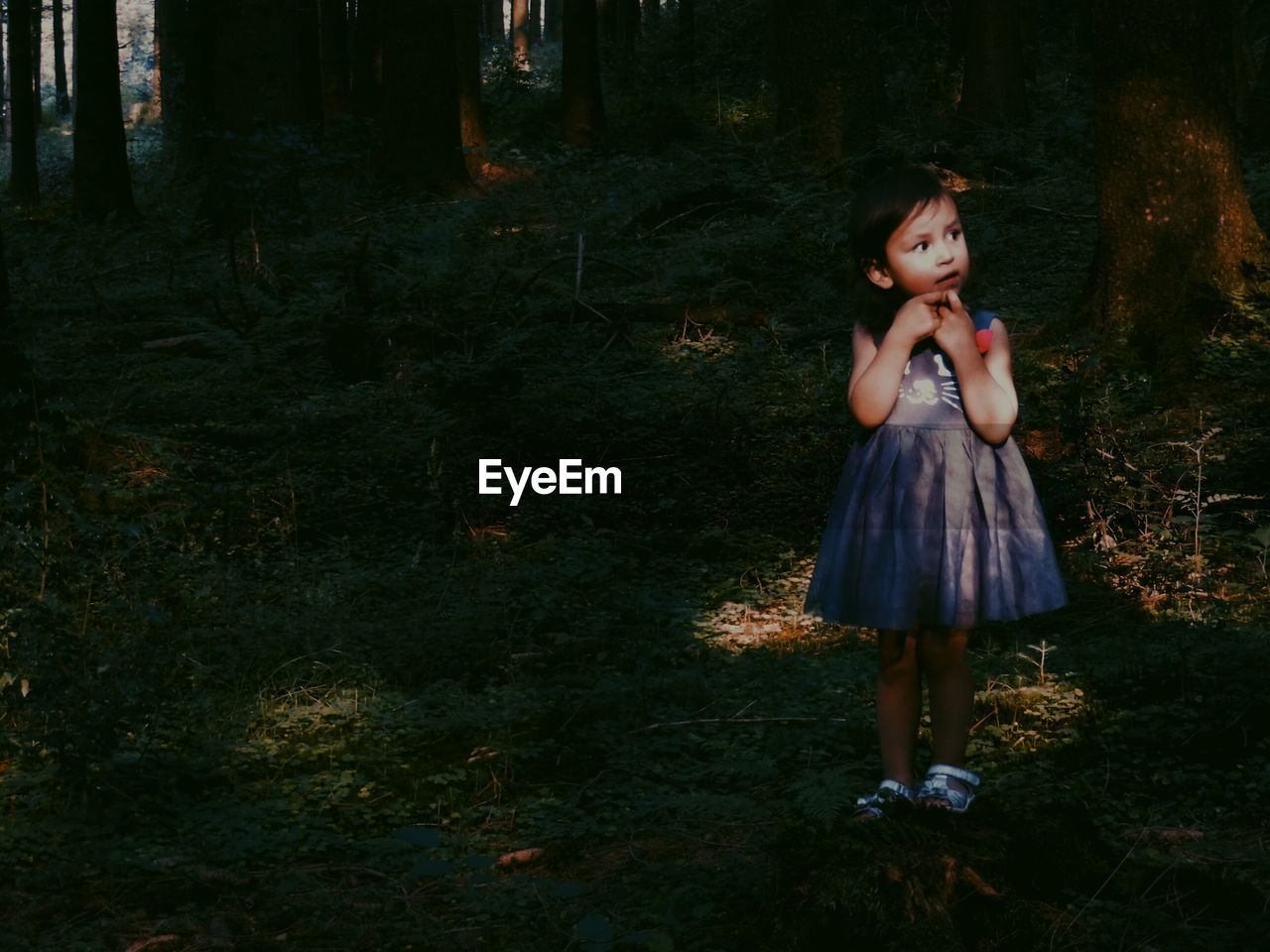 Cute girl standing in forest