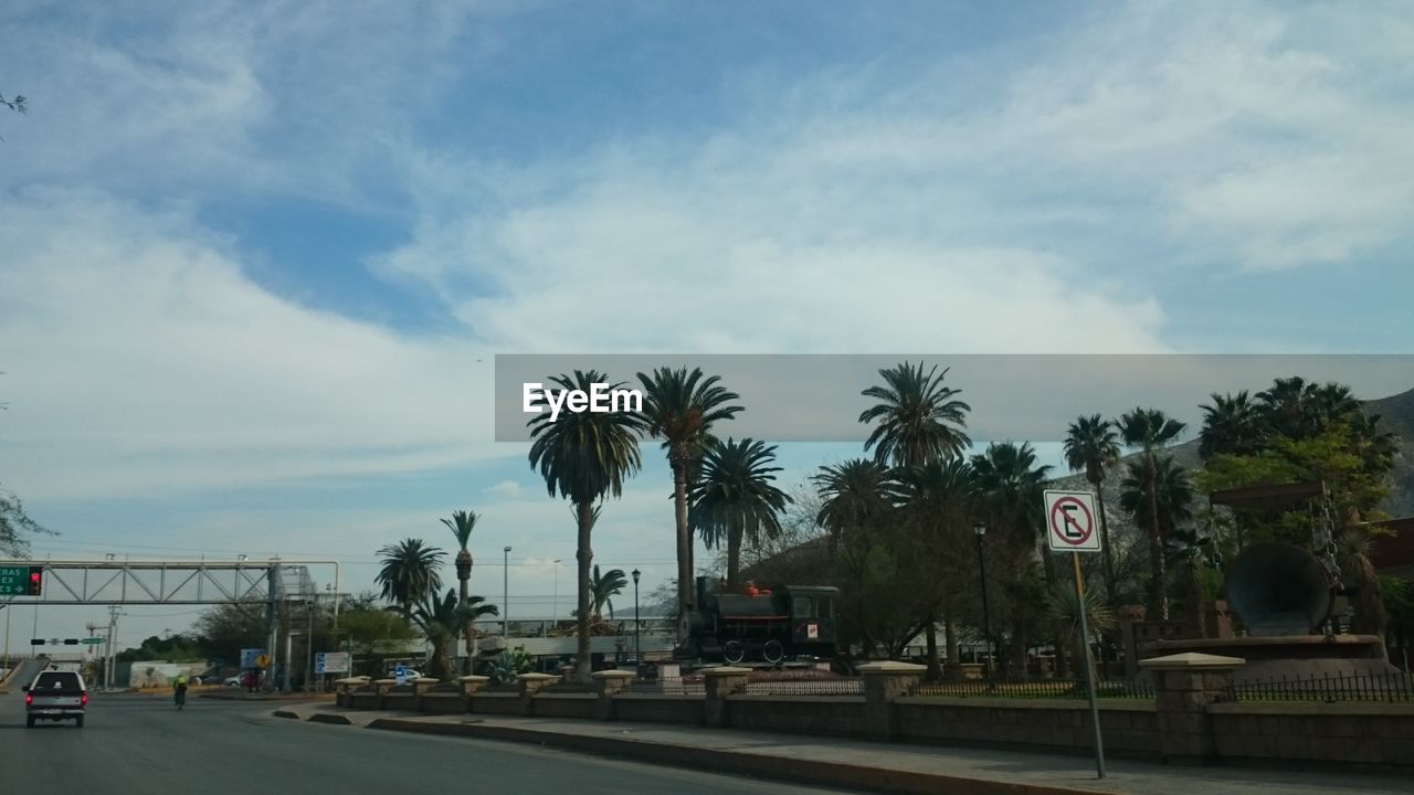 PALM TREES BY ROAD