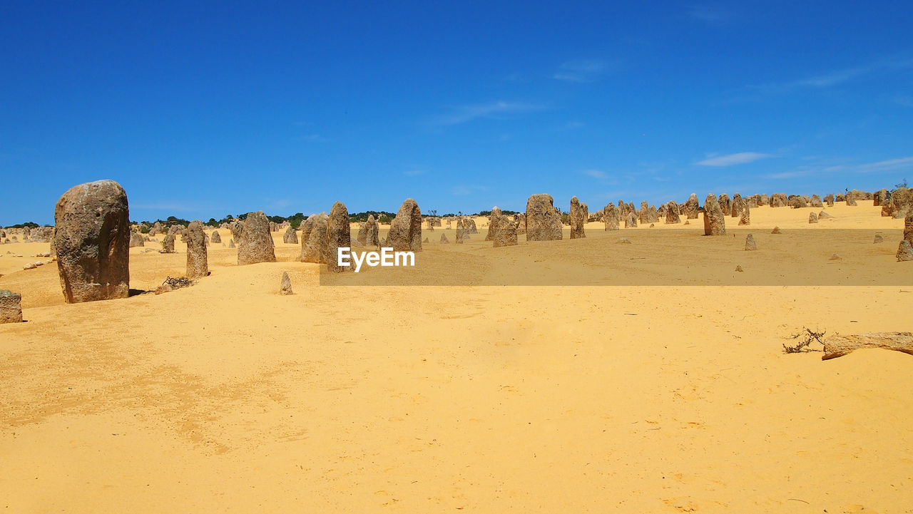 PANORAMIC VIEW OF DESERT