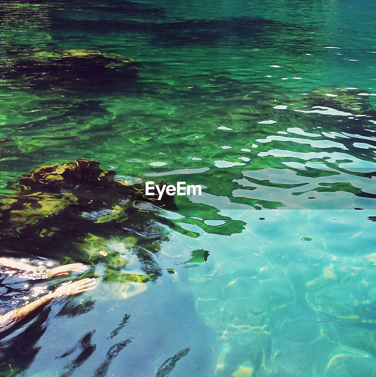 Cropped image of person swimming in kayangan lake