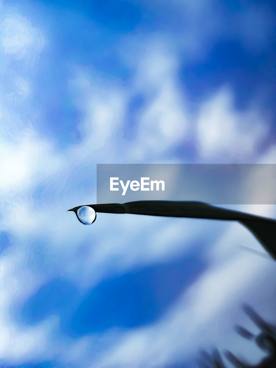 Water drop on the leave with beautiful cloudy sky background