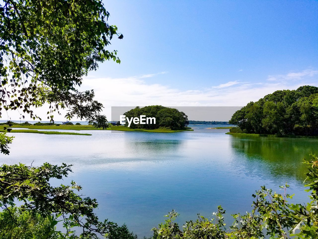 SCENIC VIEW OF LAKE BY TREES AGAINST SKY