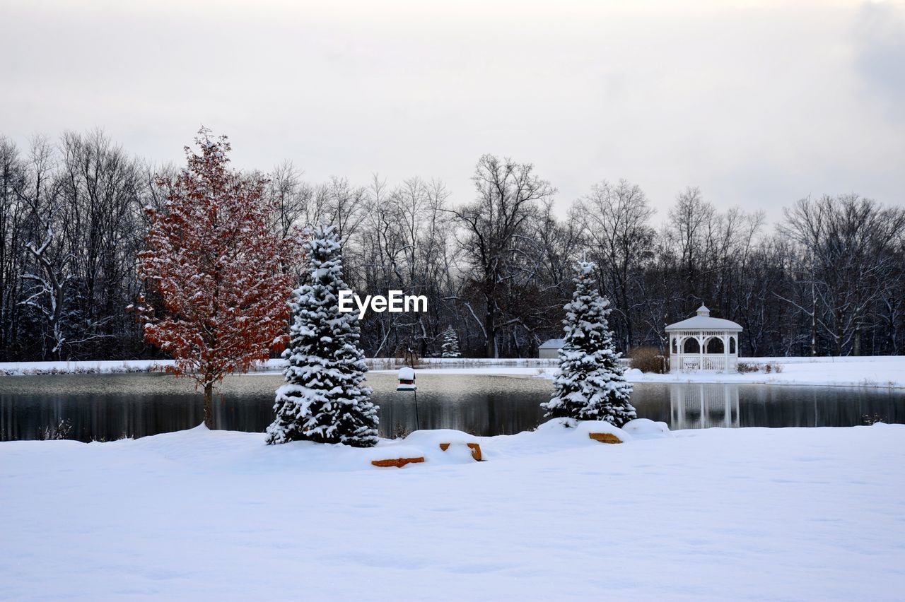 Snow covered plants and trees against sky