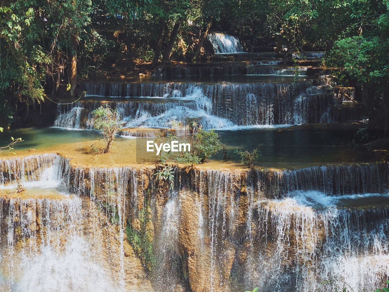 VIEW OF WATER FLOWING THROUGH PLANTS