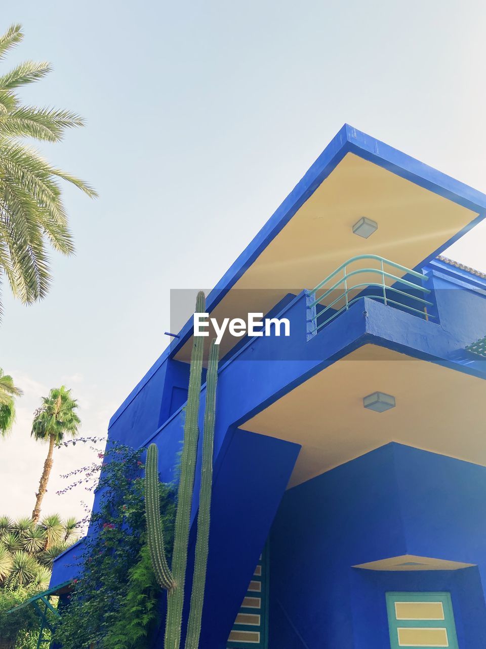 architecture, building exterior, built structure, blue, palm tree, tropical climate, house, sky, nature, tree, building, facade, no people, low angle view, plant, day, clear sky, outdoors, residential district, travel destinations, city