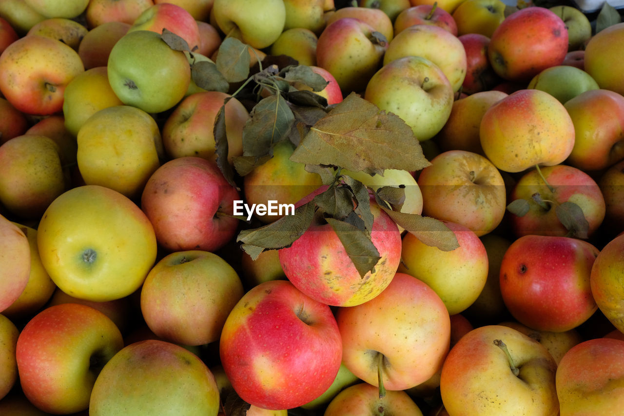 FULL FRAME SHOT OF FRESH FRUITS