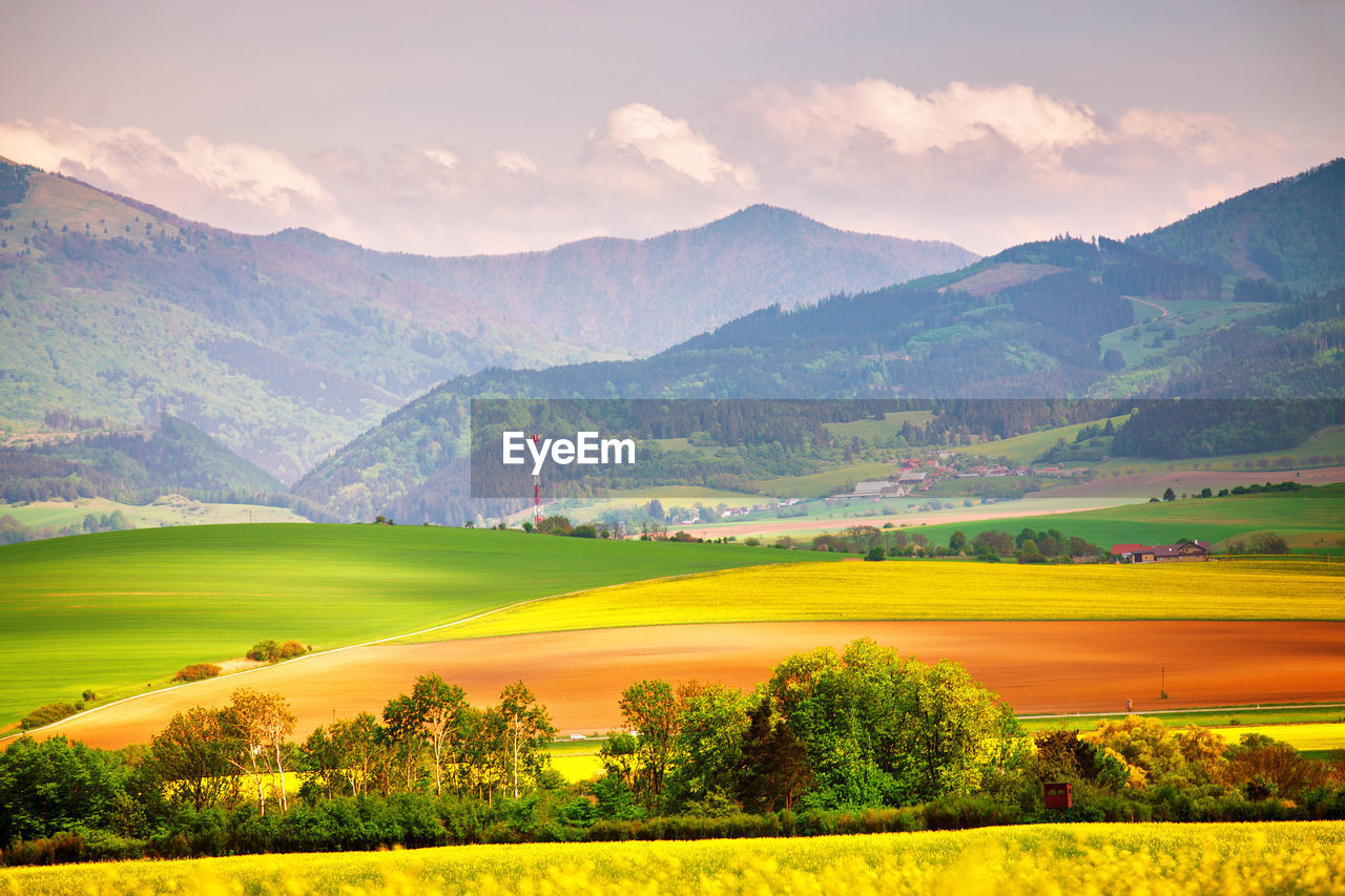 Scenic view of field and mountains against sky