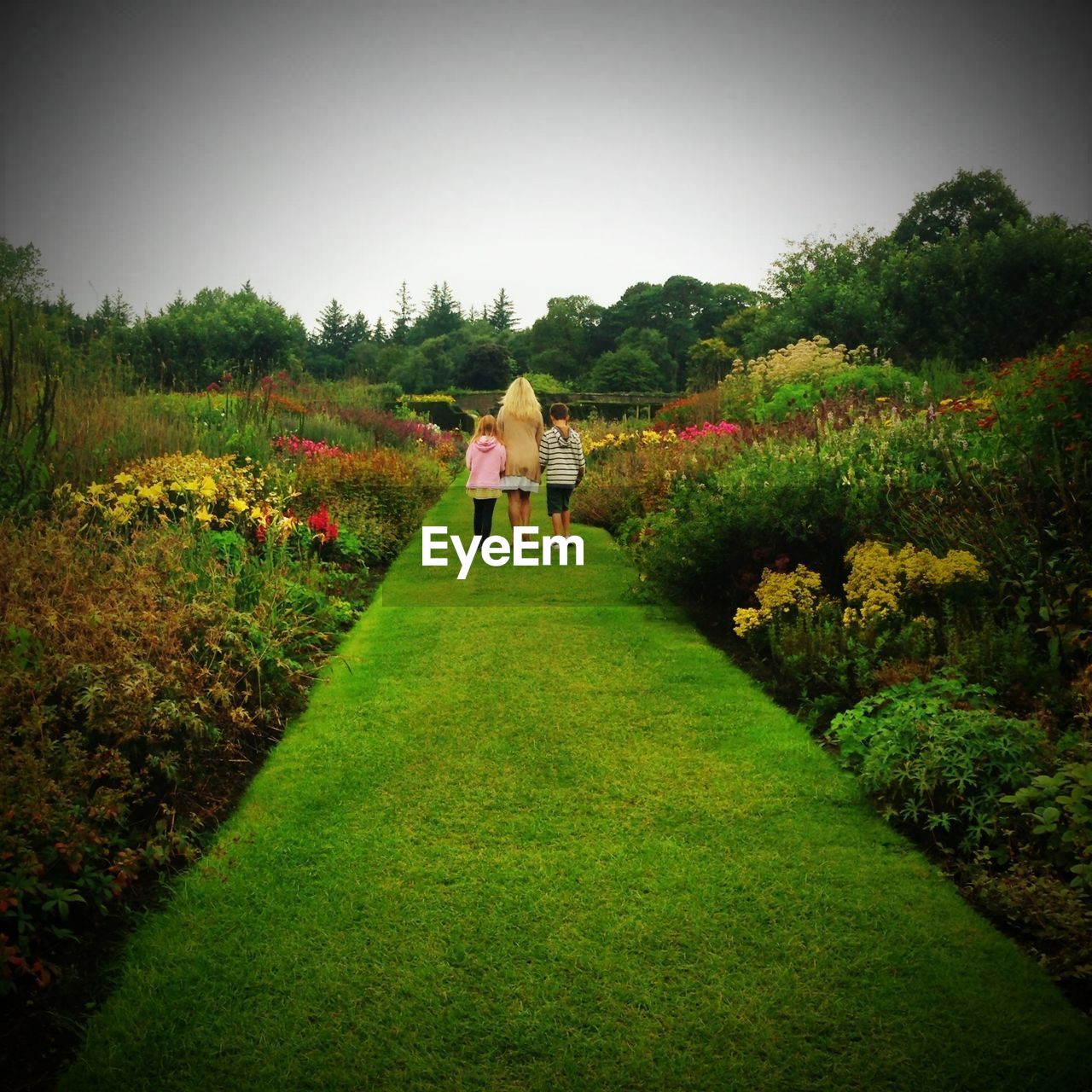 REAR VIEW OF MAN STANDING ON GRASSY FIELD