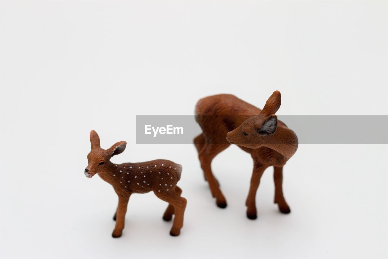 CLOSE-UP OF DEER AGAINST BLUE BACKGROUND