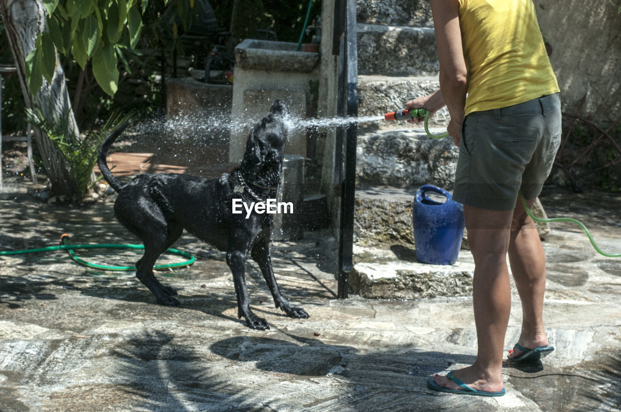 LOW SECTION OF MAN WITH DOG STANDING ON WET WATER