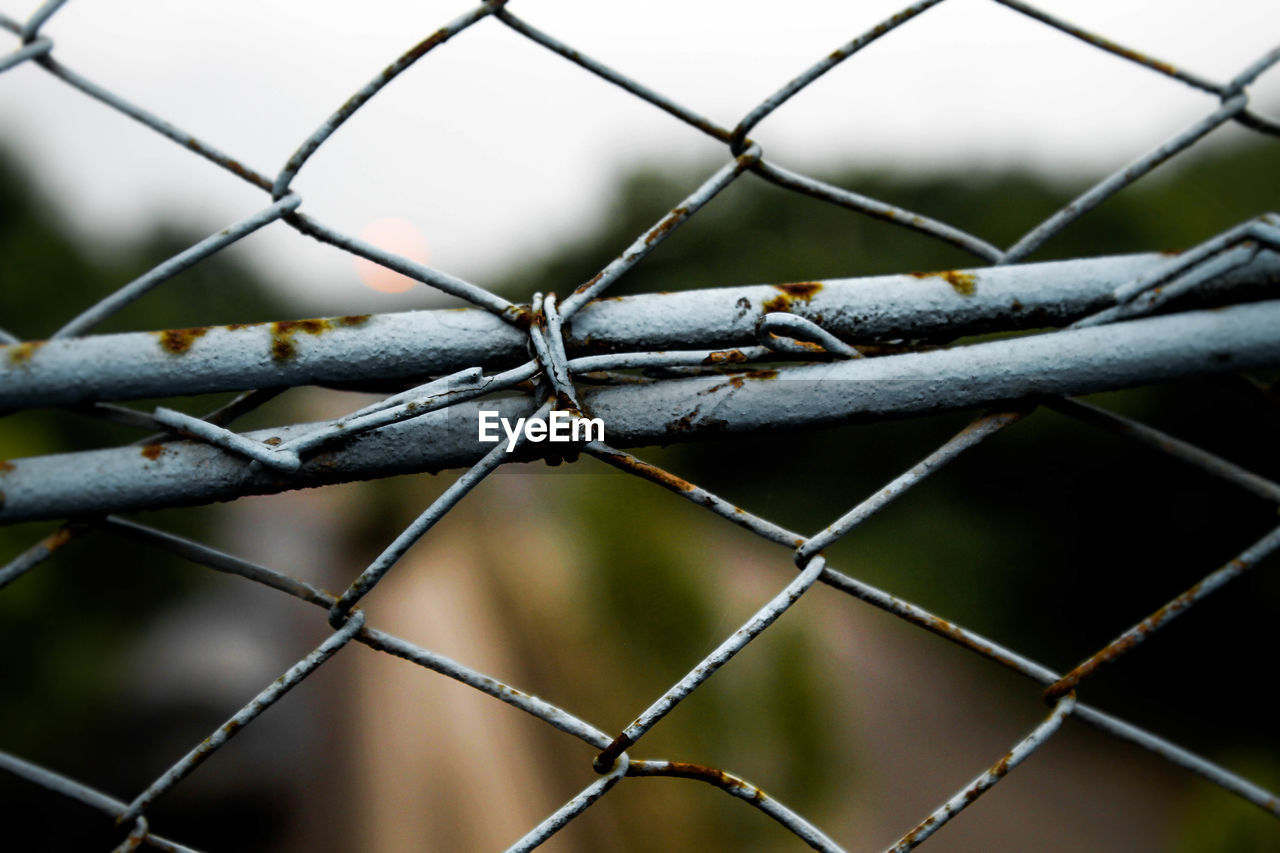 Close-up of chainlink fence