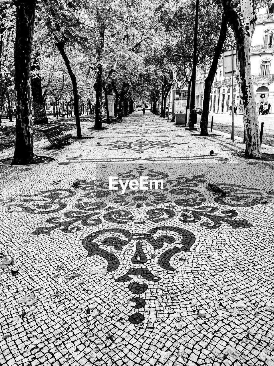 TEXT ON COBBLESTONE STREET IN PARK