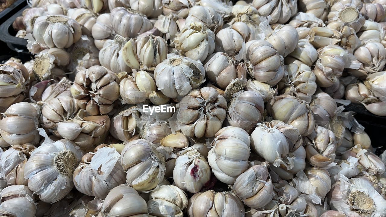 full frame shot of seashells for sale