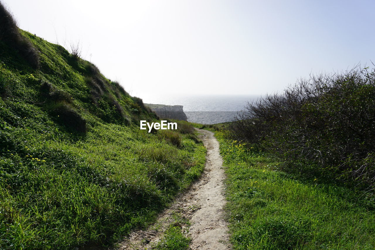 plant, hill, sky, nature, land, grass, scenics - nature, beauty in nature, green, tranquility, footpath, water, environment, landscape, no people, cliff, coast, terrain, tranquil scene, the way forward, waterway, day, ridge, sea, rural area, growth, non-urban scene, outdoors, road, tree, clear sky, travel, travel destinations, tourism, beach, idyllic, dirt road