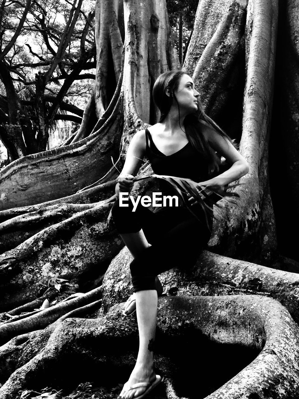 Woman looking away while sitting by tree trunk in forest