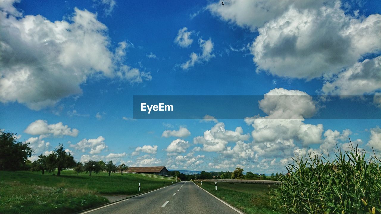 PANORAMIC VIEW OF ROAD AMIDST TREES AGAINST SKY