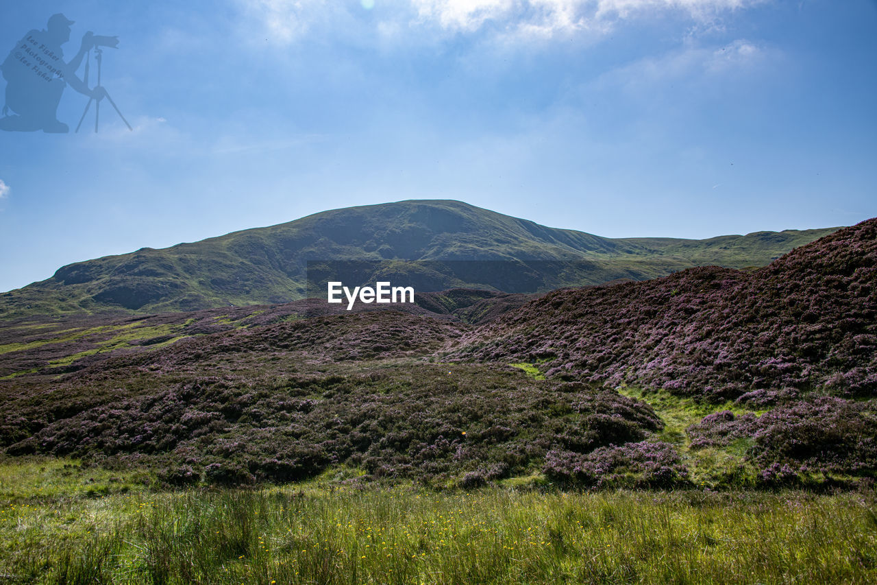 SCENIC VIEW OF LAND AGAINST SKY