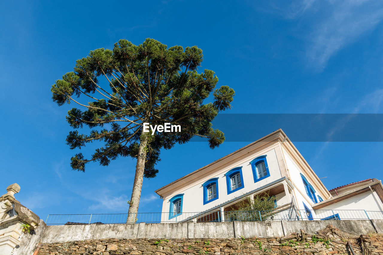 Low angle view of tree and building against blue sky