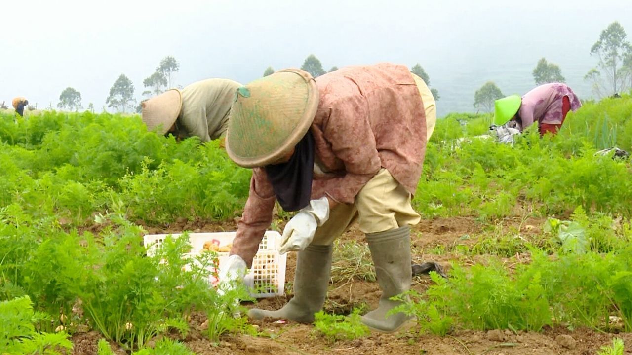 REAR VIEW OF MAN WORKING IN FIELD