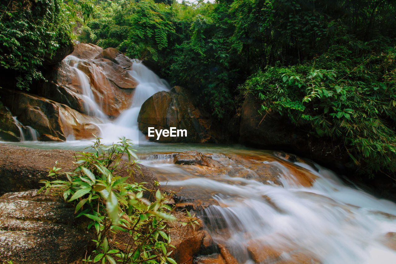 Scenic view of waterfall in forest