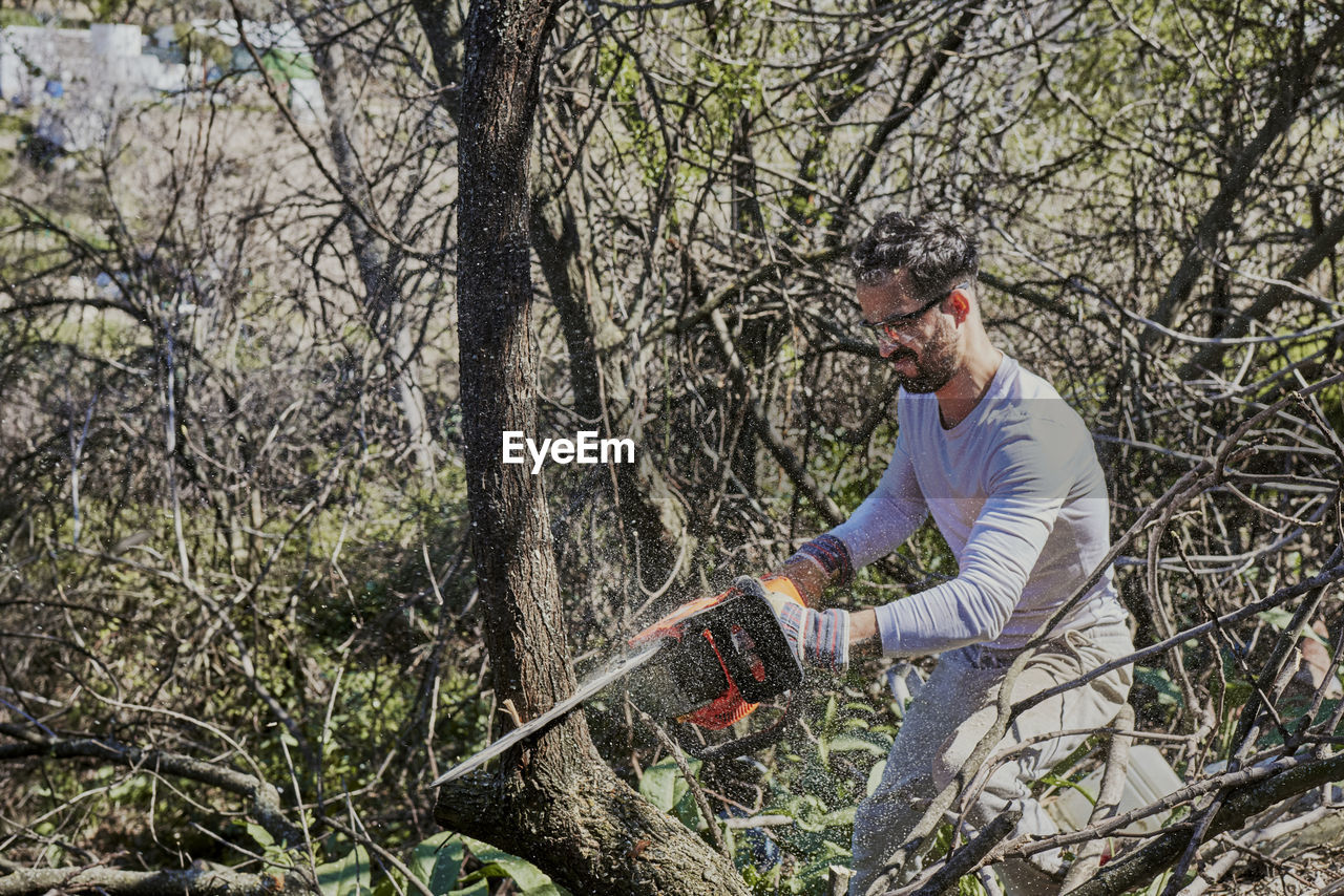 Man felling a forest with an electric chainsaw