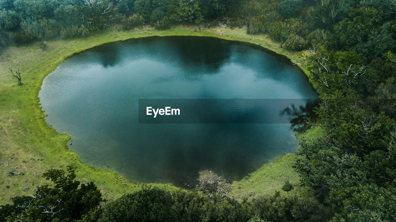 High angle view of lake by trees