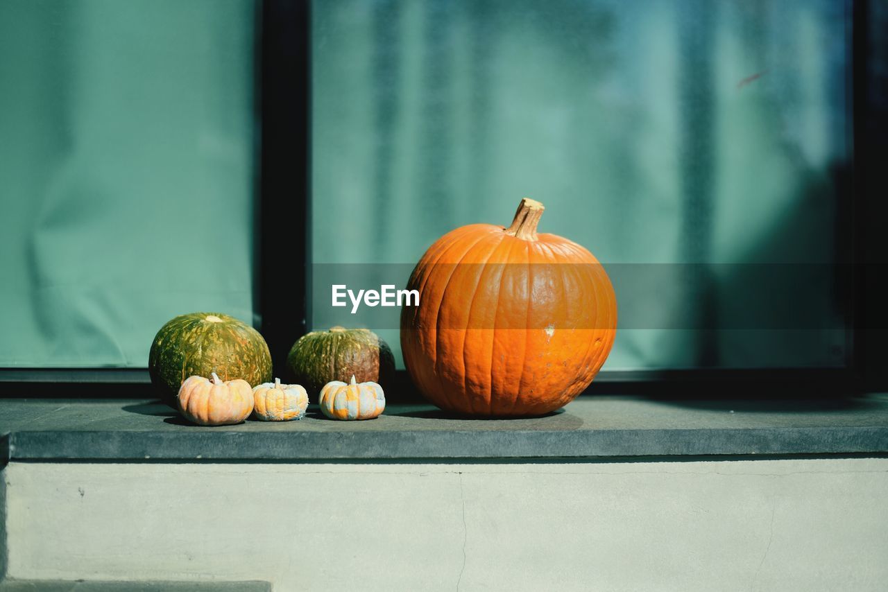 Close-up of pumpkins on table