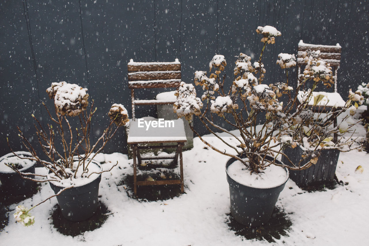 High angle view of snow covered chairs and potted plants