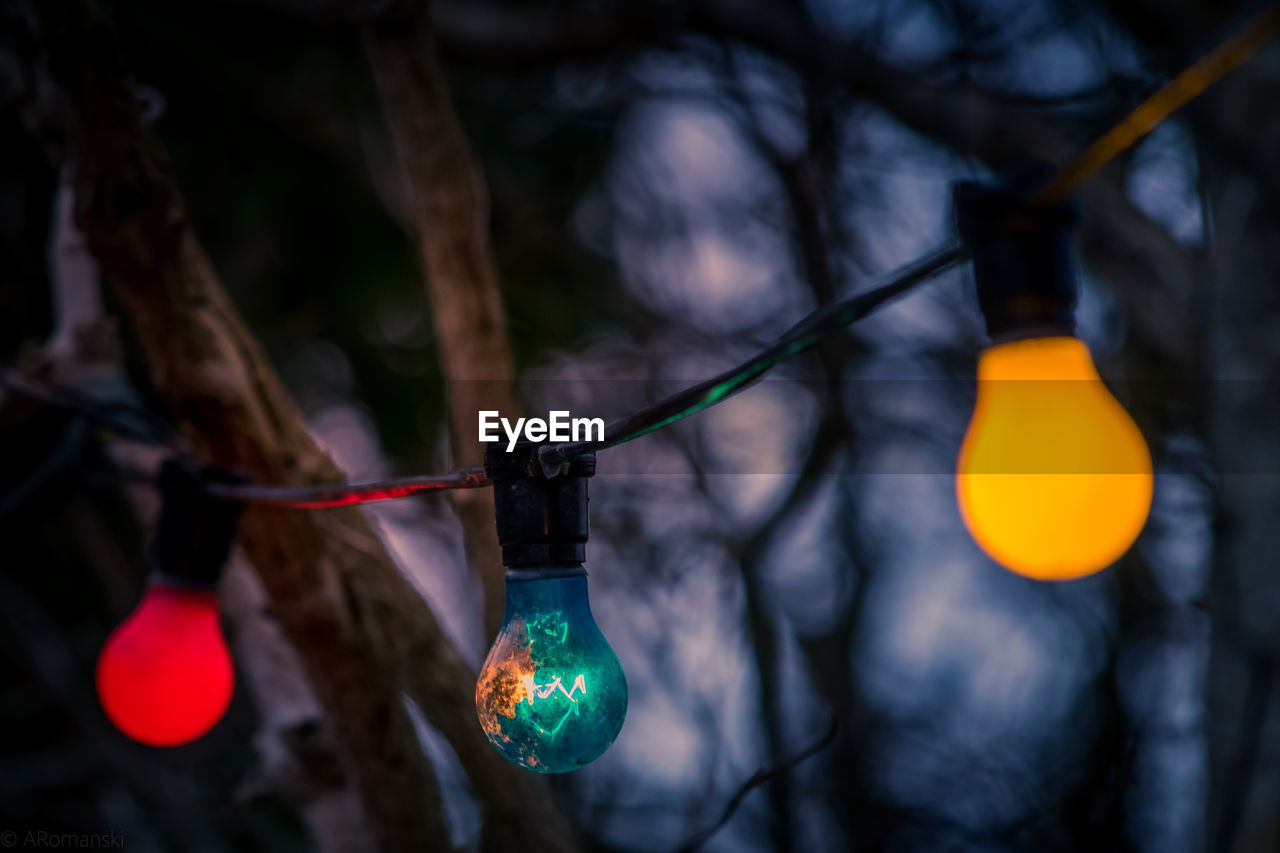 Close-up of light bulbs hanging on tree