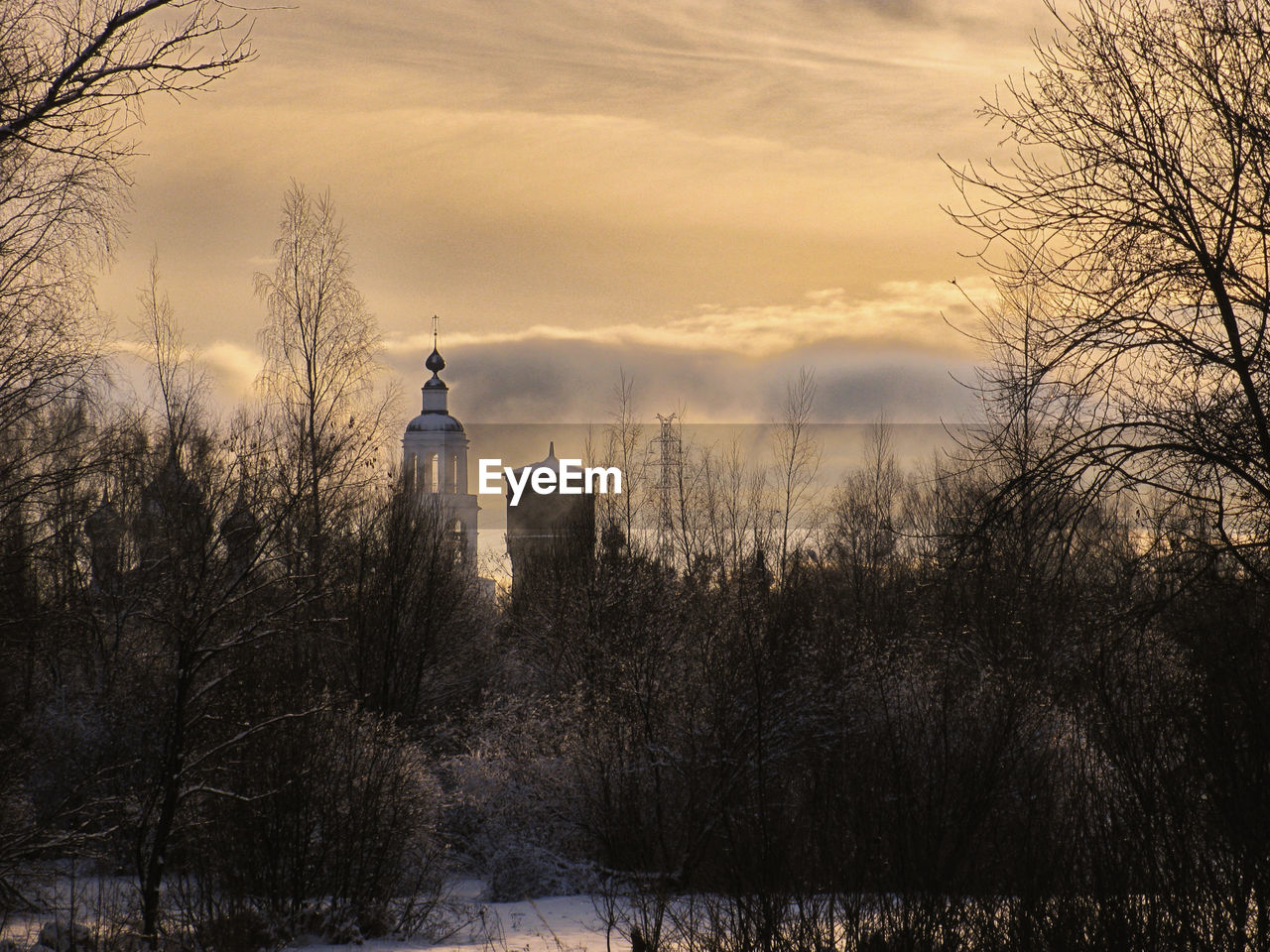 View of bare trees during winter