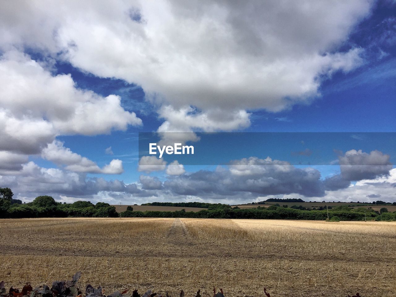 Scenic view of field against cloudy sky