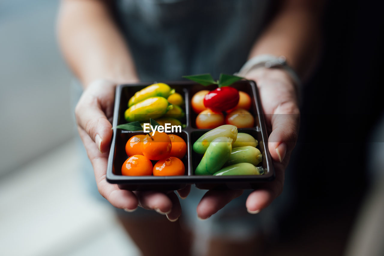 Close-up of hand holding vegetables