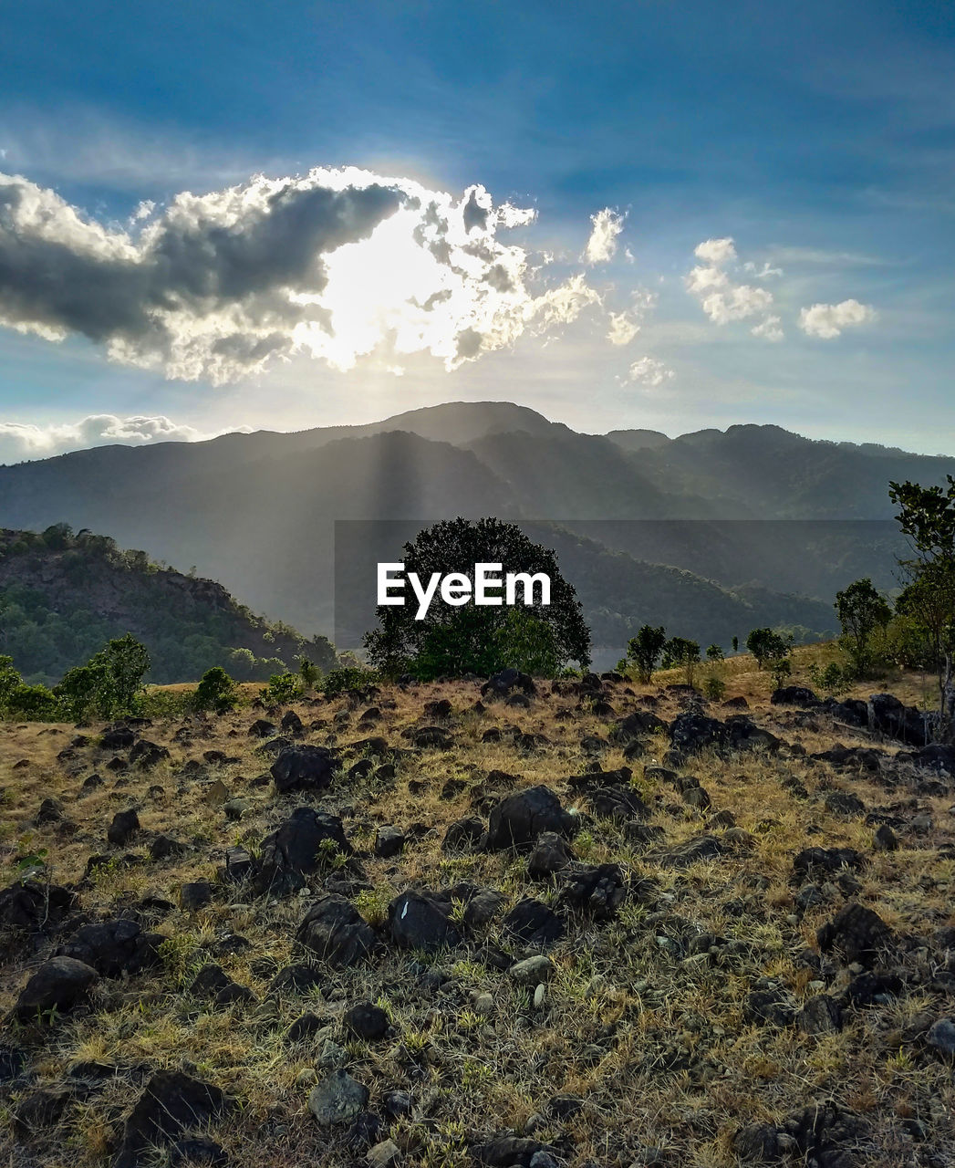 SCENIC VIEW OF TREES AND MOUNTAINS AGAINST SKY