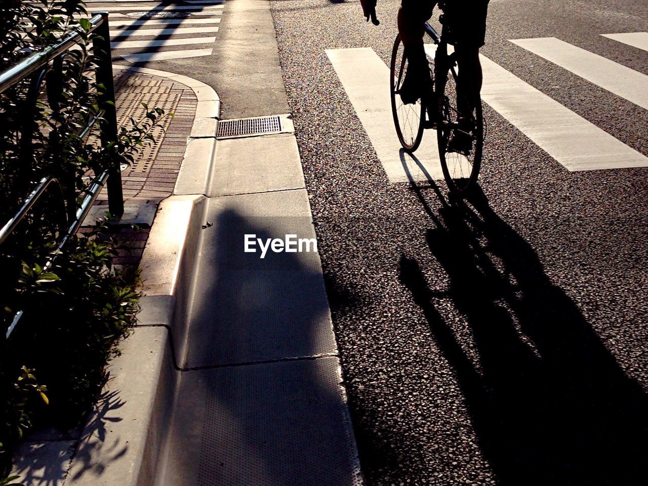 Cropped image of person cycling on road