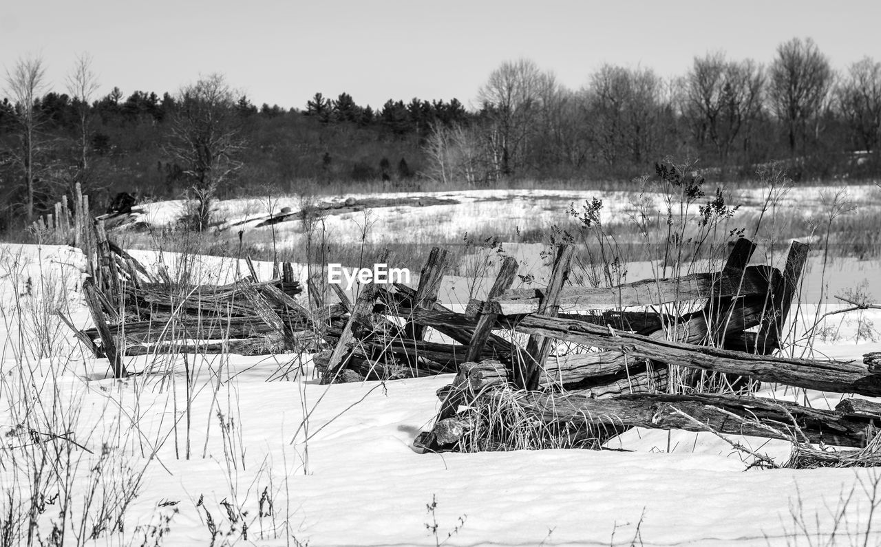 BARE TREES ON SNOW FIELD AGAINST SKY