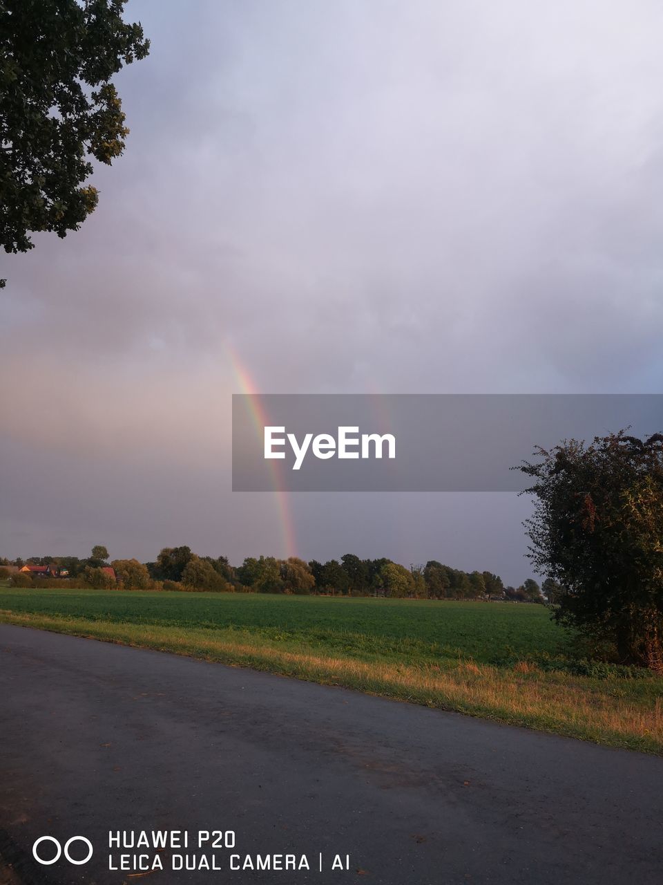 SCENIC VIEW OF RAINBOW OVER FIELD