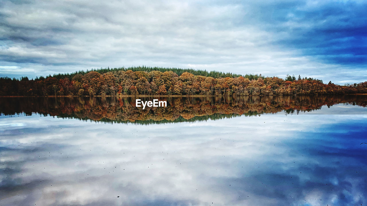 Forest lake reflection 