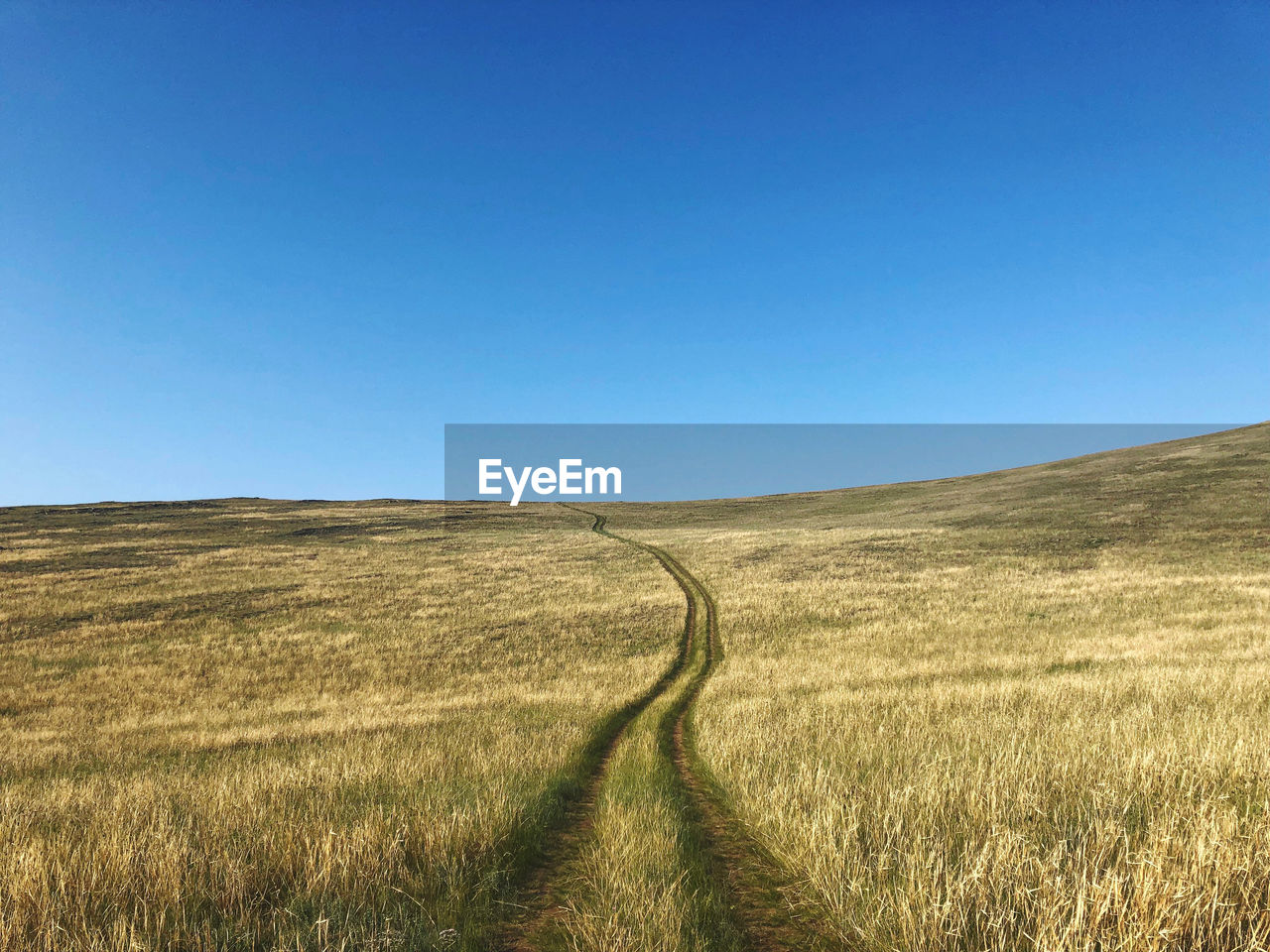 Scenic view of field against clear blue sky