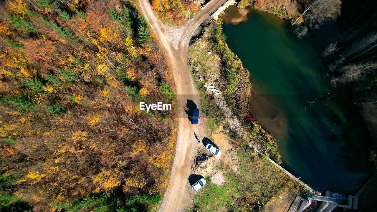 High angle view of road amidst plants