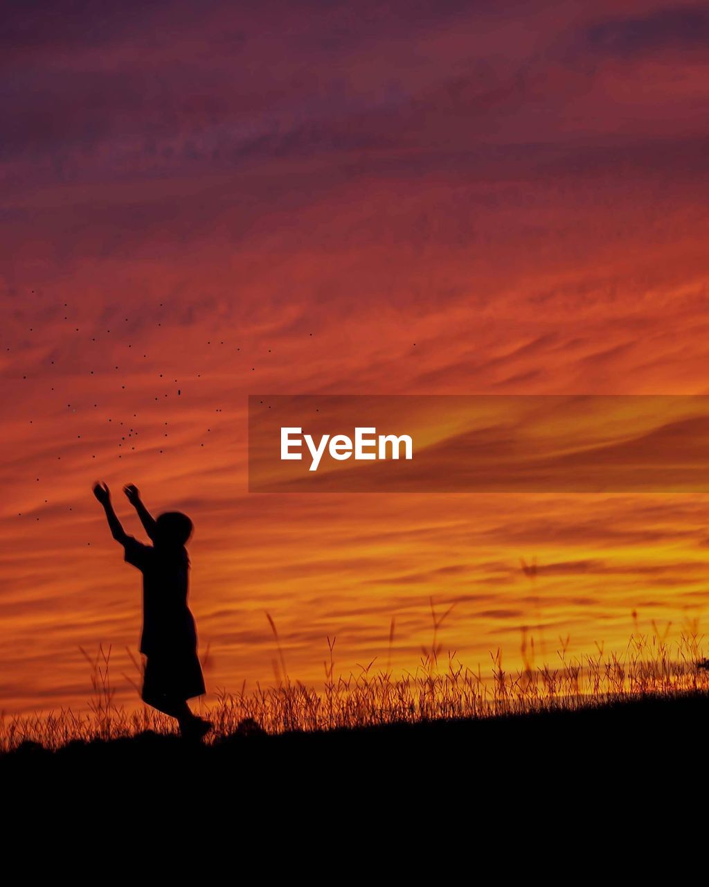 Silhouette boy standing on field against orange sky during sunset