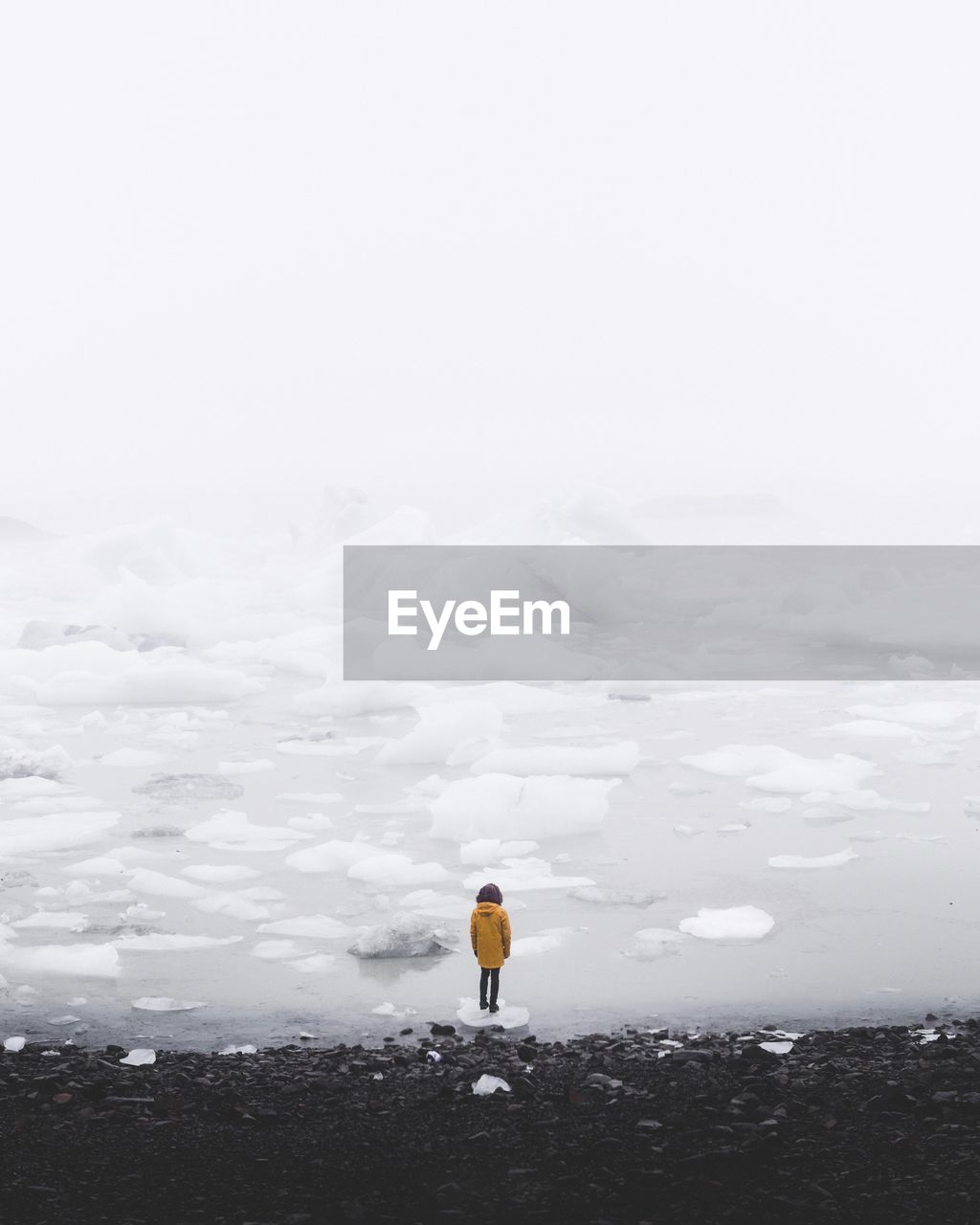 Rear view of woman standing on iceberg in sea against sky