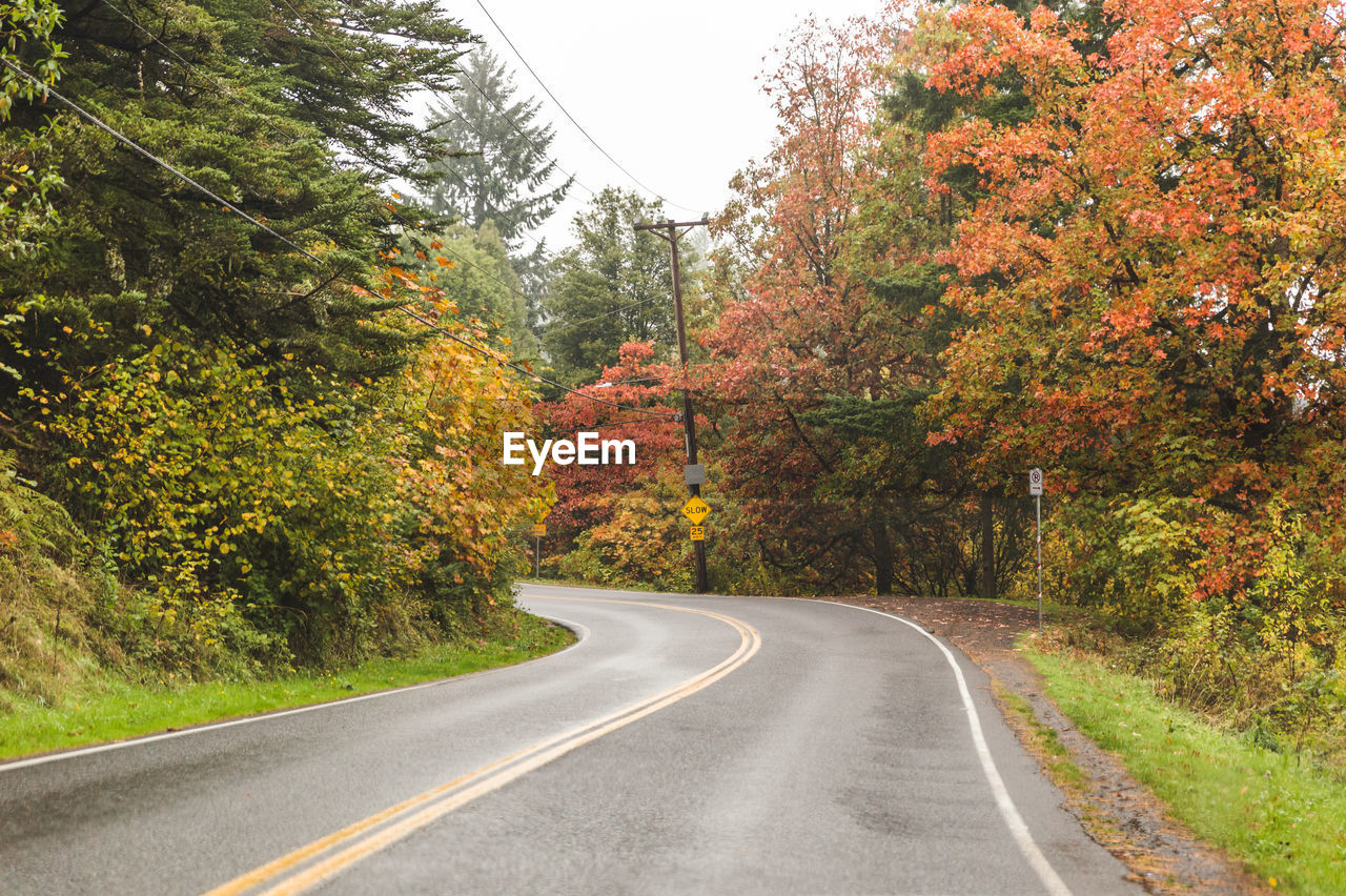 ROAD BY TREES DURING AUTUMN