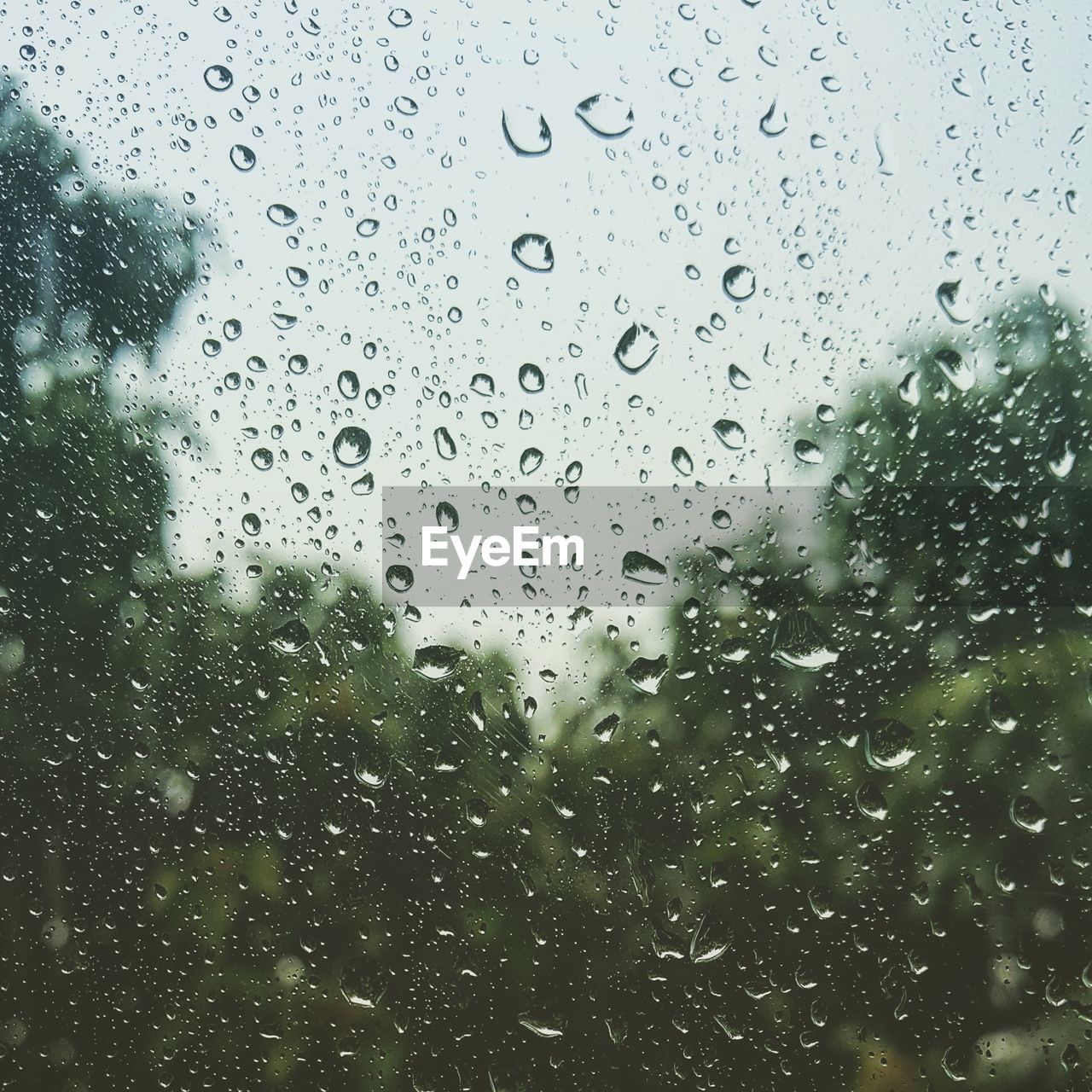 FULL FRAME SHOT OF WET GLASS WINDOW