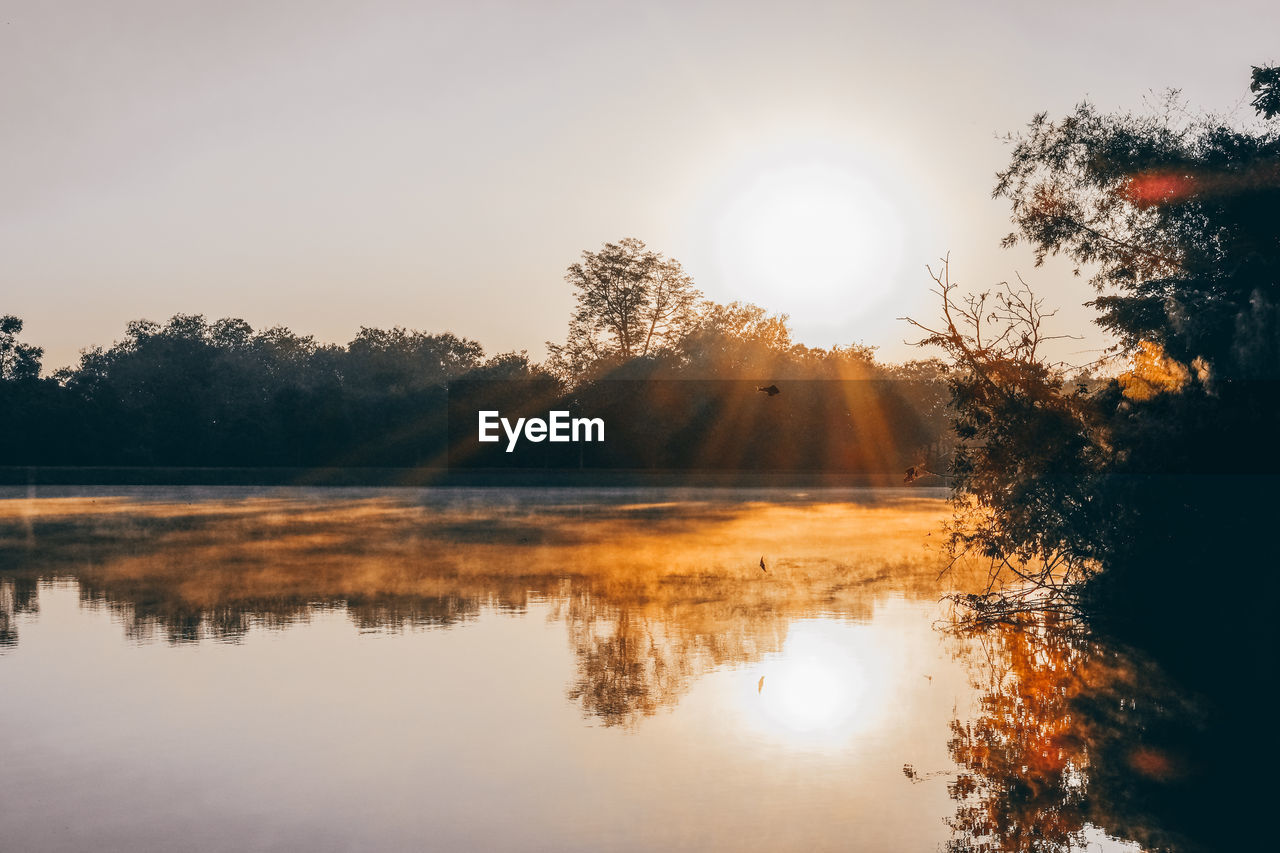 REFLECTION OF TREES IN LAKE AGAINST SKY DURING SUNSET