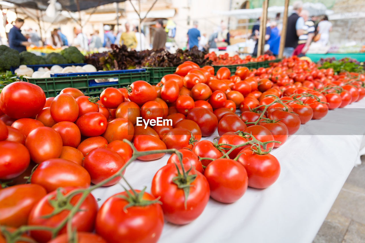 High angle view of tomatoes and vegetables for sale at market stall