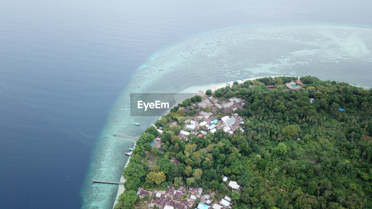 HIGH ANGLE VIEW OF TREE BY SEA